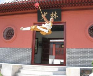 shaolin kung fu yanhao